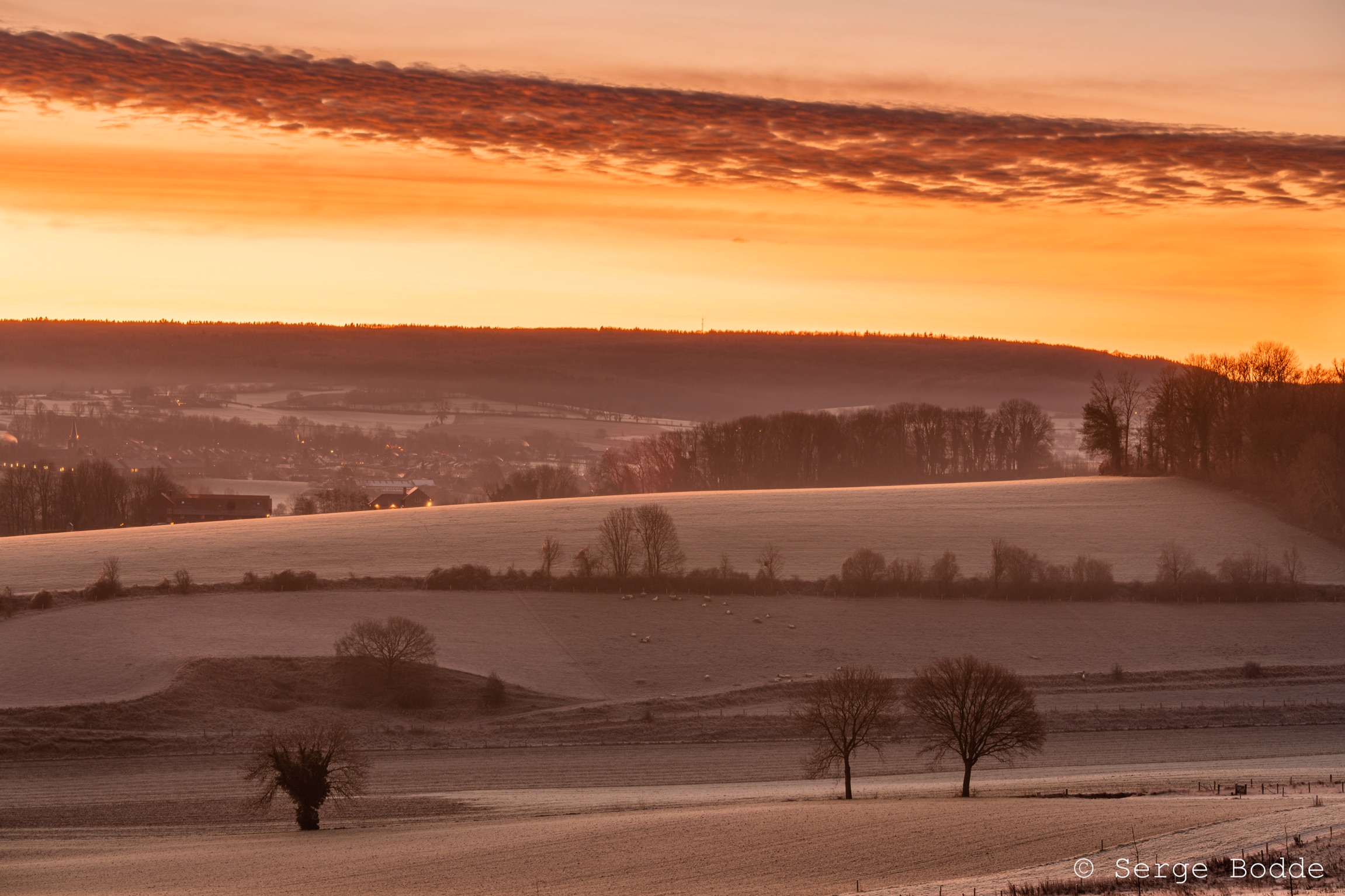 1315A2F3-DA0B-40B9-8A39-5A1F72E59328