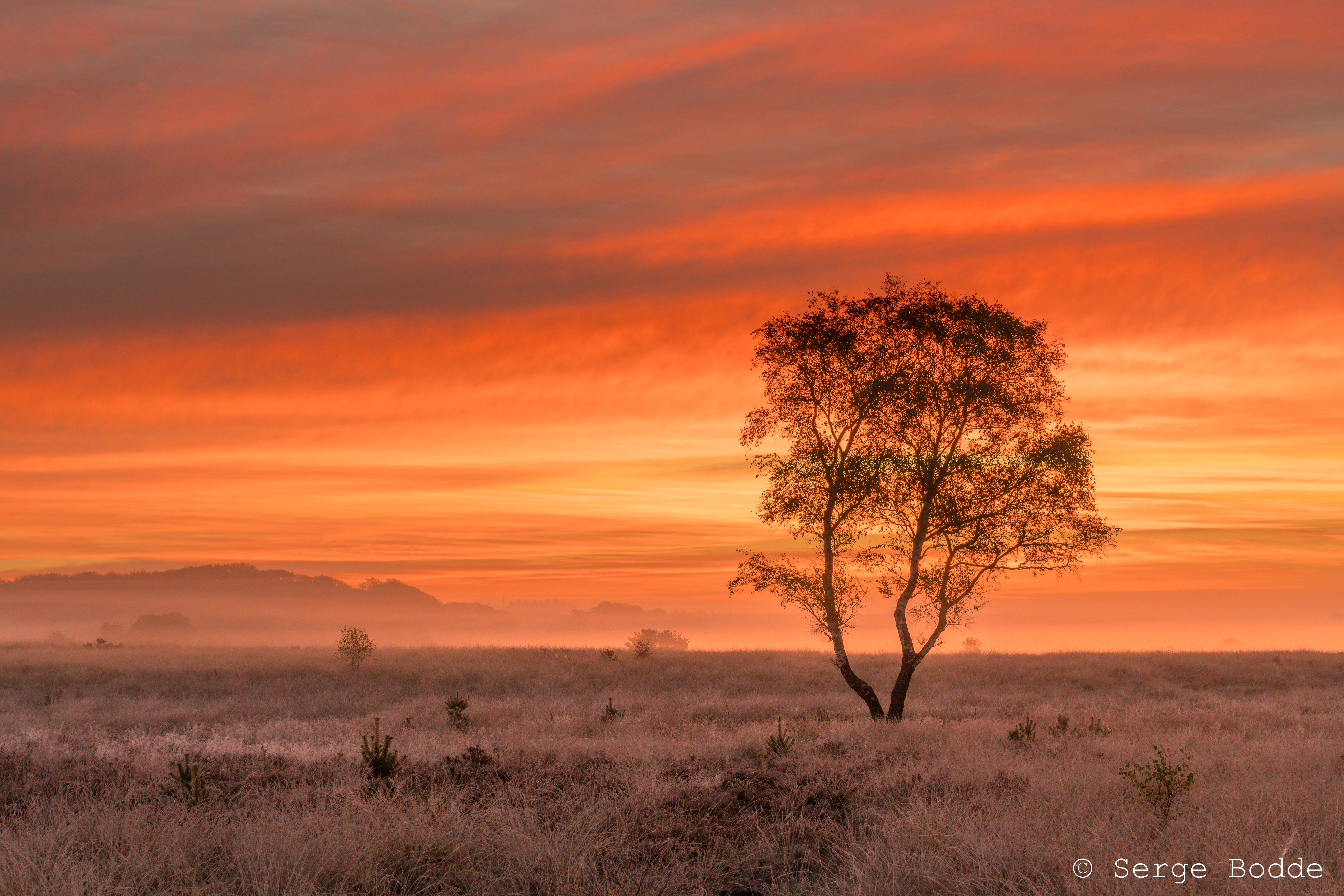 naamloos-20181020-DSC03238